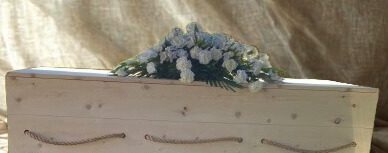 cropped-IMG_1259-Edited.jpg